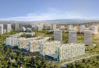 Абрикос