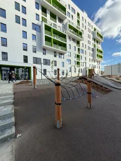 Абрикос
