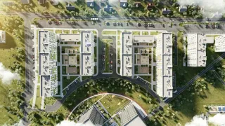 Абрикос